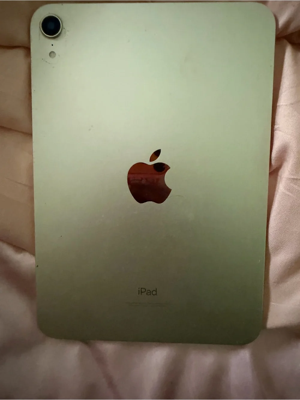 Apple iPad in Gold Back with Black Camera Accent